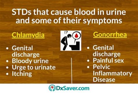 Stds That Cause Blood In Urine Names Treatment And Testing Cost