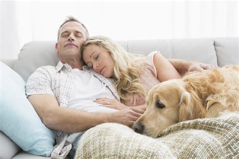 10 señales de que tu perro te ama estilo de vida hogar univision