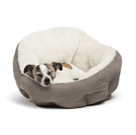 The Coziest Beds For Dogs Who Love To Burrow Barkpost