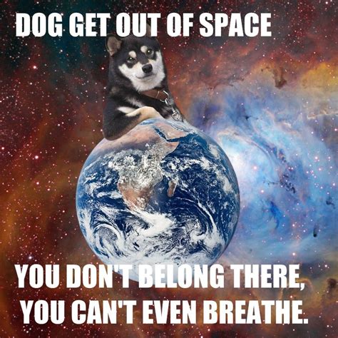 Space Dog Hd Desktop Desktop Wallpaper Space Dog Perfect Sense Lol