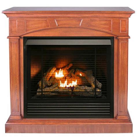 Duluth Forge Vent Free Propanenatural Gas Fireplace Wayfair