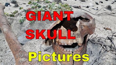 Ancient Giant Skull Found Full Story With Pictures Check Out The