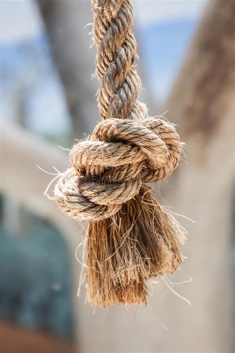 Rope Knot Closeup Royalty Free Stock Photography Image 33354747