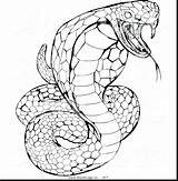 Cobra King Snake Drawing Hissing Logo Coloring Pages Venomous Printable Striking Vector Rattlesnake Serpent Atstockillustration Getdrawings Diamondback Clipartmag sketch template