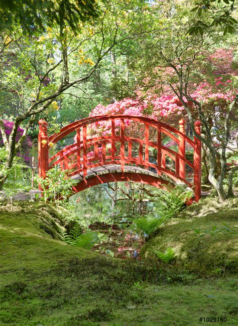Red Bridge In Japanese Garden Stock Photo Crushpixel
