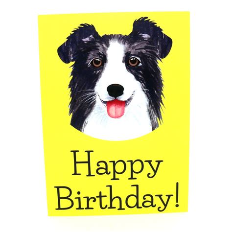 Border Collie Greeting Cards Unique Cards For Dog Lovers And Furbabies