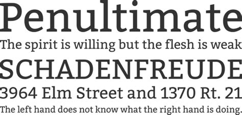 Typography 101 Slab Serif Fonts Premiumcoding