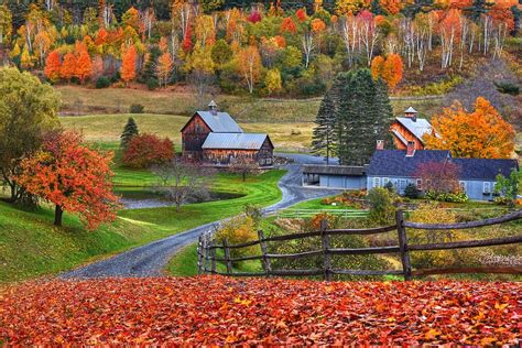 Sleepy Hollows Farm Woodstock Vermont Vt Autumn Bright