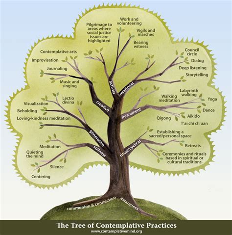 Tree Of Contemplative Practices Ivy Child International