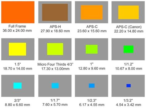 What Are The Differences Between The Apsc Micro Four Thirds Sensor