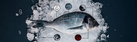 How To Choose Fresh Whole Fish In 5 Easy Steps