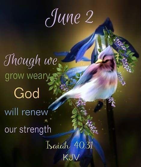 June 2 Kjv Daily Bible Verse Isaiah 40 31