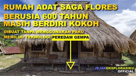 Ende Ntt Rumah Adat Saga Nusa Tenggara Timur 600 Tahun Berdiri Kokoh Dan Tahan Gempa Youtube