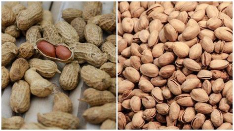 Kacang bisa menjadi camilan sehat untuk ibu hamil. Bebagai Jenis Kacang yang Aman Untuk Camilan Penderita ...