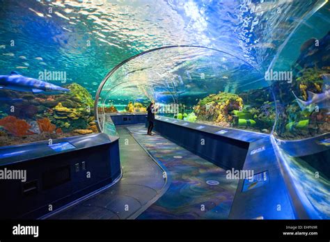 Ripleys Aquarium in Toronto,Ontario.;Canada, tourist attraction near