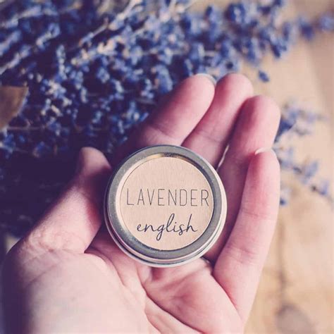 25 Creative Lavender Uses For Fresh And Dried Lavender Flowers