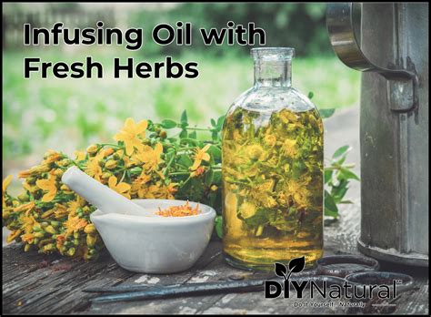 Infusing Oil With Fresh Herbs How To Make Herb Oil With Fresh Herbs