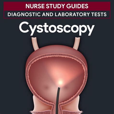 Did You Know That There Are Two Types Of Cystoscopy Learn Something New About Nursing Today