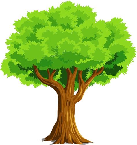 Clip Art Trees Clip Art Trees Trees Tree Clipart Free Clipart Images 3