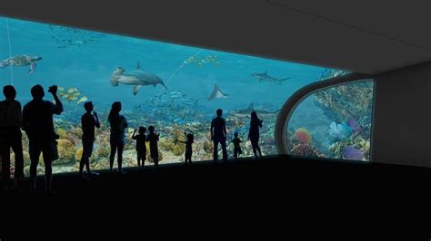 New Design For Point Defiance Aquarium Revealed To Public Tacoma News