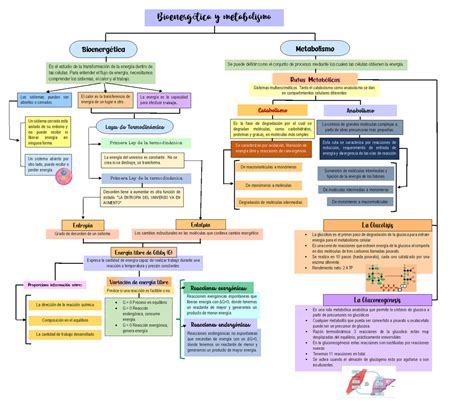 Mapa conceptual Bioenergetica y metabolismo Bioquímica Farmacológica US Studocu