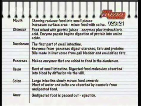 GCSE BBC Science Bitesize - Nutrition