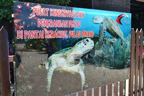 Pelan akui pelan berkaitan tanah yang disediakan mengikut format yang ditetapkan oleh jabatan dan diluluskan oleh pengarah ukur, termasuklah pelan akui. Diari Si Ketam Batu: TAMAN NEGARA PULAU PINANG (PENANG ...