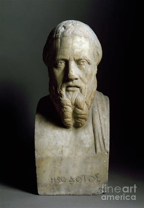 Bust Of Herodotus Greek Historian Sculpture 2nd Century Sculpture By