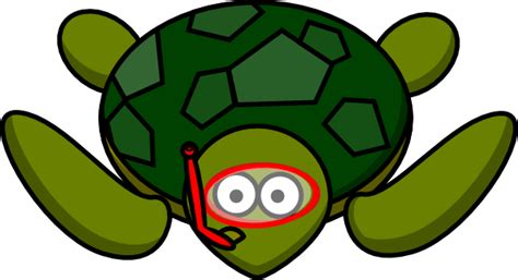 Majic Turtle Clip Art At Vector Clip Art Online Royalty