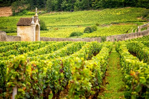 Luxury Burgundy Wine Tour Context Travel Context Travel