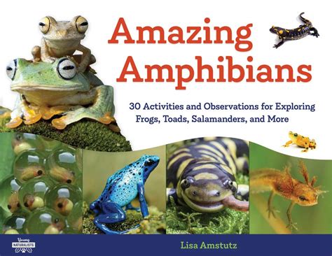 Buy Amazing Amphibians 30 Activities And Observations For Exploring