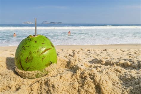 Brazilian Nude Beach Telegraph