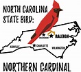 North Carolina State Bird - Bird Watching Academy