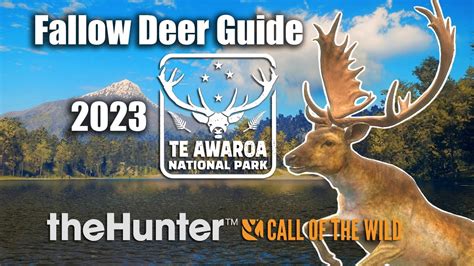 Fallow Deer Guide Te Awaroa National Park Thehunter Call Of The
