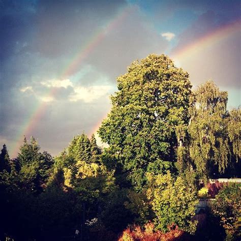 Cheggers On Instagram One Rainbow Yesterday A Double One Today Must
