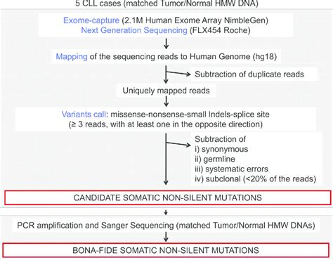 Figure S1 Wes Approach Computational Pipeline Used For The Analysis