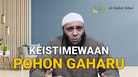 Keistimewaan Pohon Gaharu Dr Zaidul Akbar Official Youtube