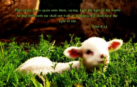 Check spelling or type a new query. Bible Quotes Animal Rights. QuotesGram