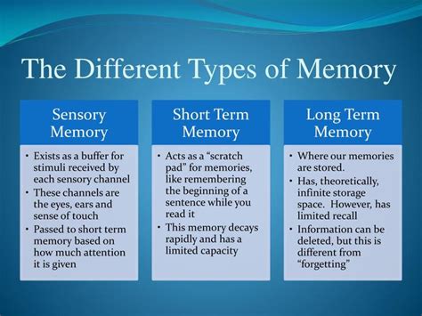 Three Different Types Of Memory That Are Used To Help Students Learn