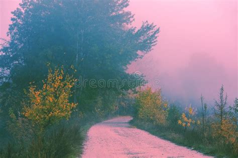 Dirt Country Road In The Early Misty Morning Stock Image Image Of