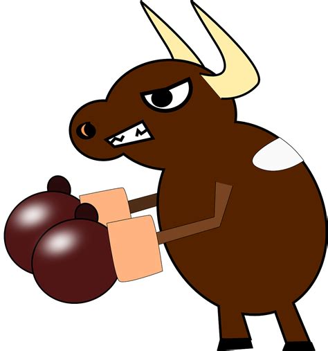 Boxing Cow Bull Free Vector Graphic On Pixabay