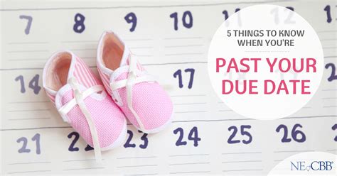 5 Things To Know When Past Your Due Date Necbb