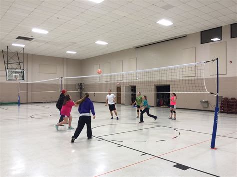 The Best Volleyball Net Systems Online | Custom-Made Net Systems by Les | Cobra Net Systems