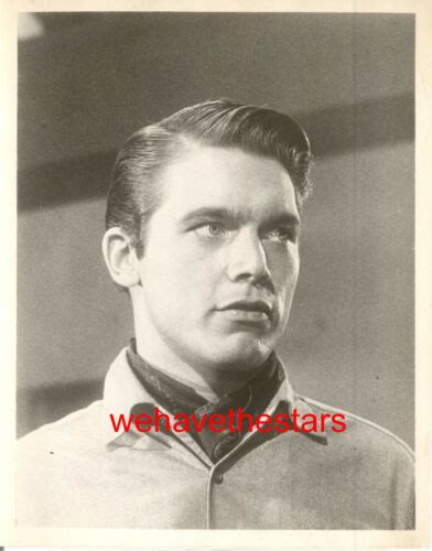 Vintage Chad Everett Sexy Quite Handsome Early S Publicity Portrait