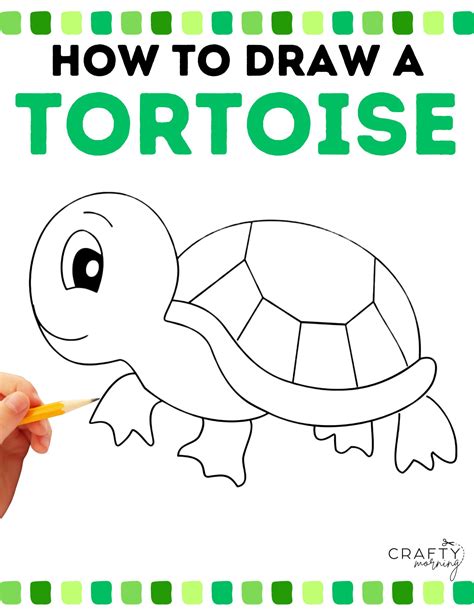 Drawing A Tortoise Step By Step Tutorial Crafty Morning