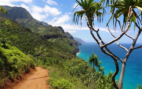 9 Best Hikes In Hawaii 10 Honorable Mentions