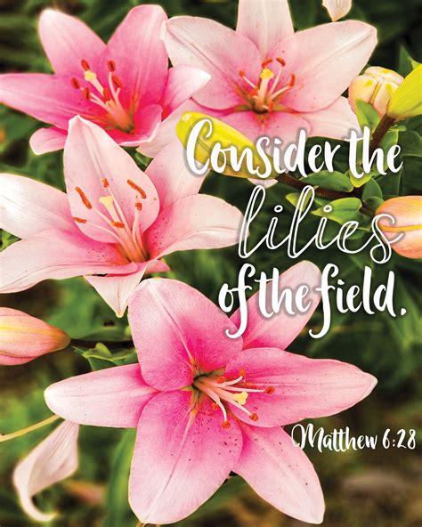 Matthew 628 Bible Verse Wall Art Printable Wall Art Flower Etsy