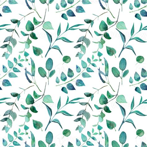 Watercolor Botanical Seamless Pattern With Blue Branch 24679982 Png