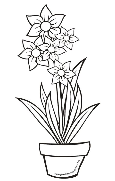 Baru 30 Sketsa Gambar Bunga Mawar Dalam Pot Galeri Bunga Hd