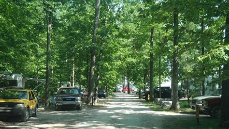 Maybe you would like to learn more about one of these? Black Lake State Forest Campground | Michigan